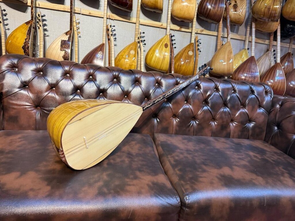 TAM PROFESYONEL 41 TEKNE YAPRAK DUT UZUN SAP SAZ - 3