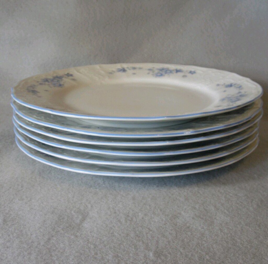 Bernadotte Çekoslovakya Mavi Gri Çiçek Desenli 24 cm Yemek Tabakları - - 4