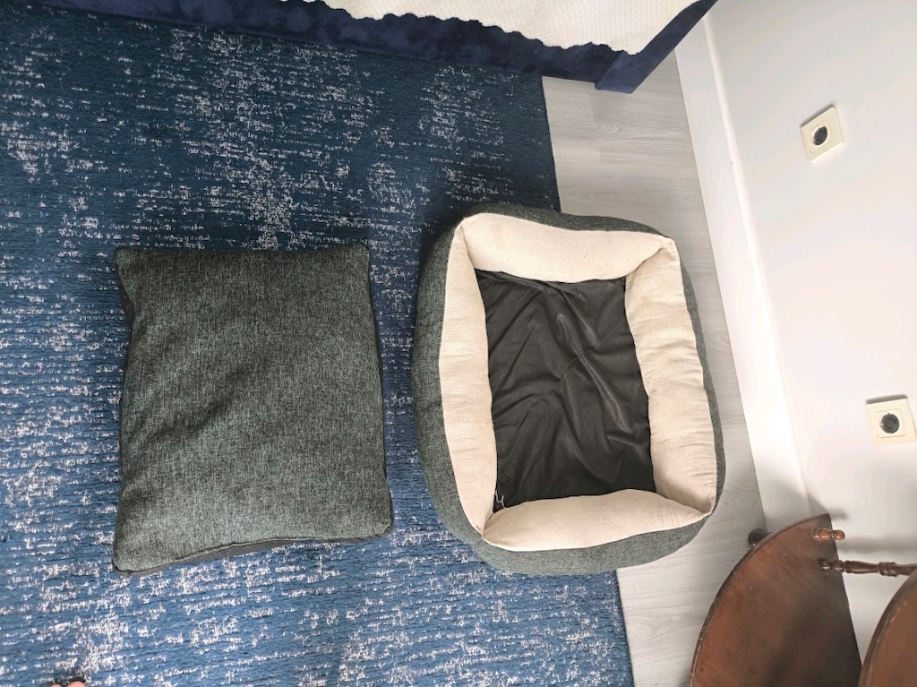 köpek yatak 50*70 cm + 35 ve 43 cm Lik boyun+ eğitim tasmasi hediye - 9