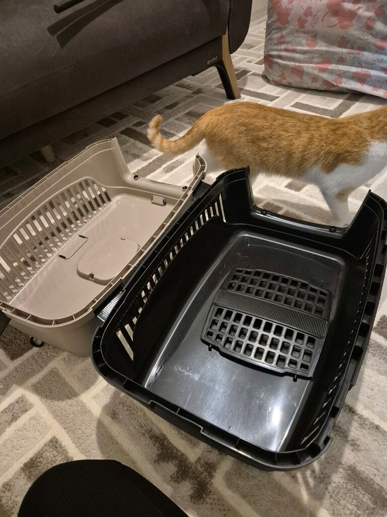 kedi taşıma çantası - 6