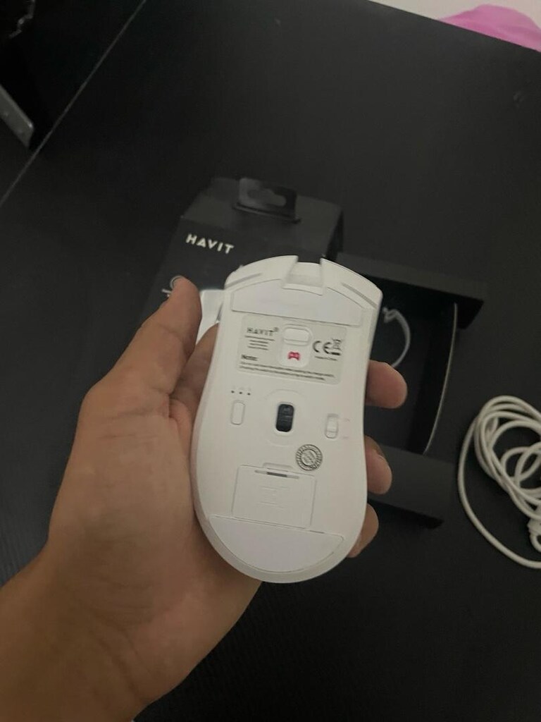 mouse - 6