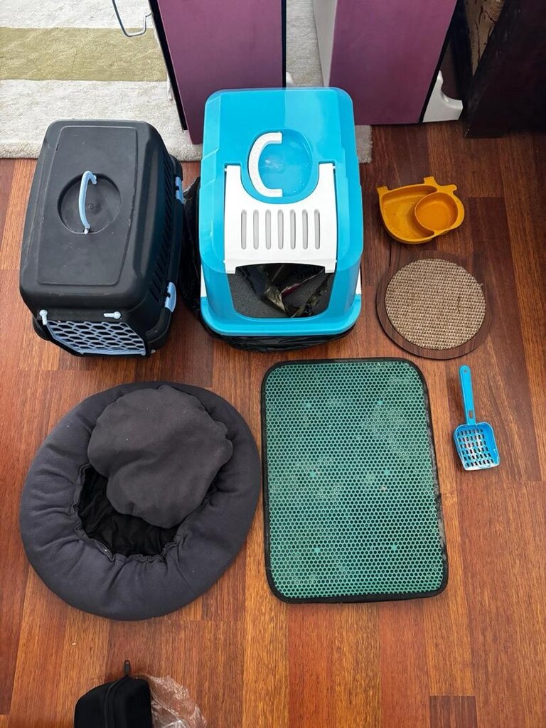 toplu kedi malzemeleri - 2