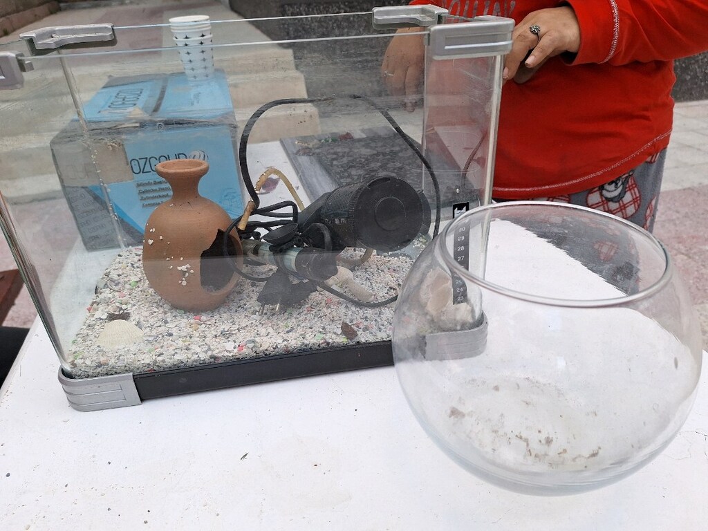 Balık akvaryum - 4