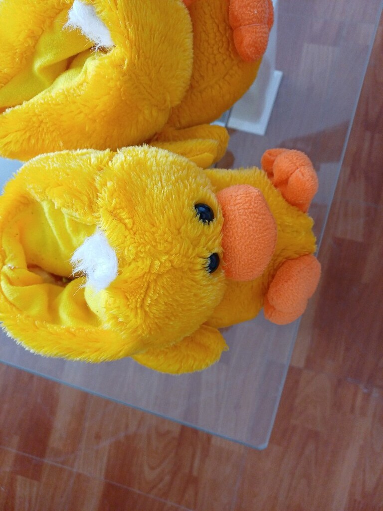 kız çocuk kışlik ev botu - 4