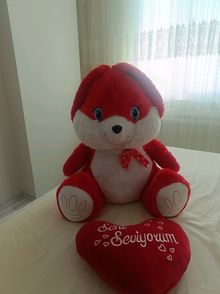 peluş tavşan ve kalpli yastik - 2