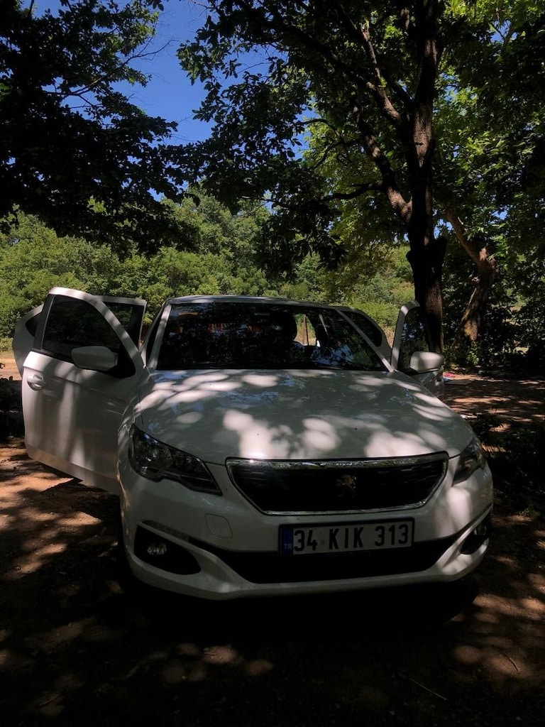 Peugeot 301