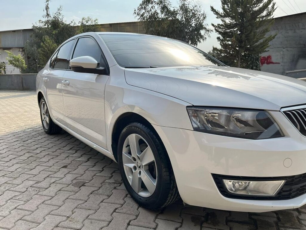 temiz octavia - 2