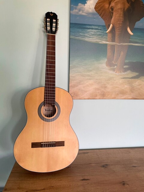 Valler Vg250 Na Klasik Gitar