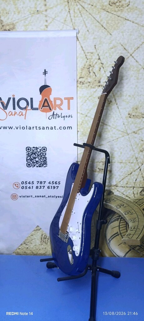 profesyonel elektro gitar - 6