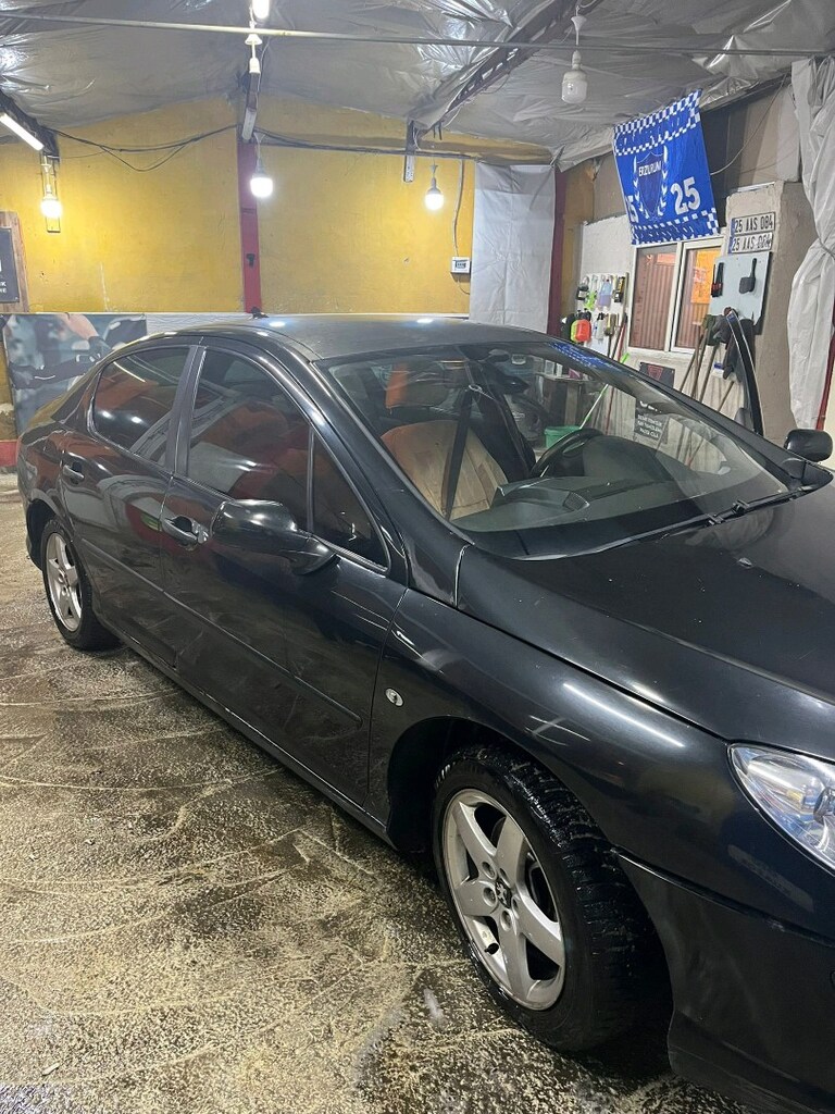 Peugeot 407 - 7