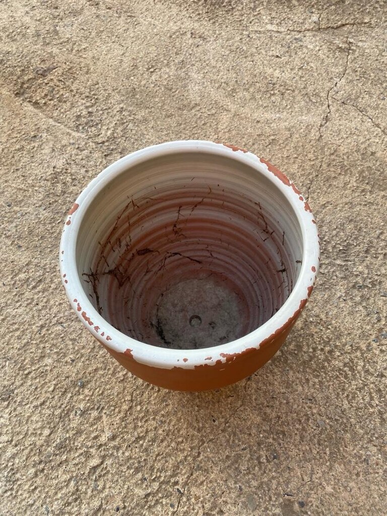 toprak saksı - 2