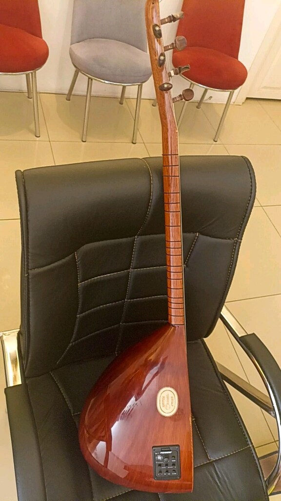 Oktay Yılmaz çıkışlı maun ağaç bağlama - 2