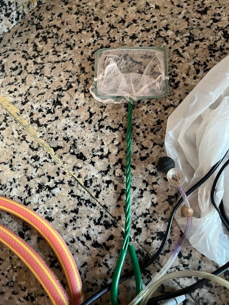 Fluval Edge Akvaryum Seti – Eksiksiz Ekipmanlı, Temiz ve Sorunsuz - 13