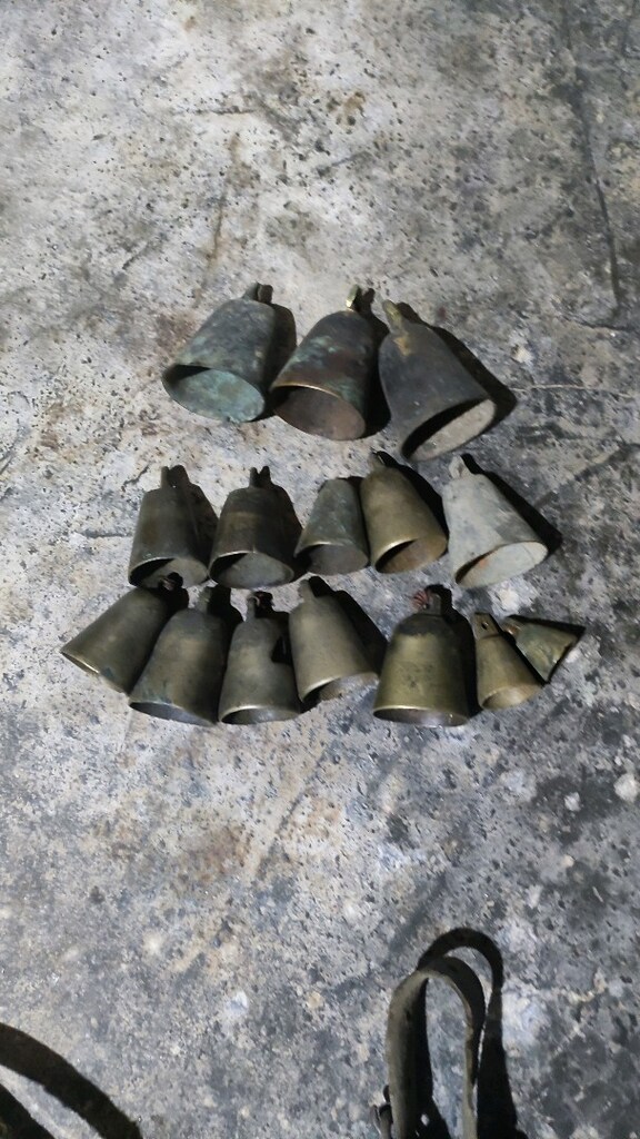 Küçük baş hayvan çanı - 6