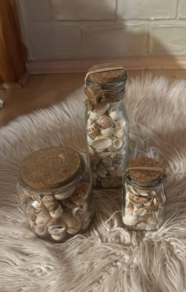 deniz temali gercek Deniz kabugu, ve digerleri. set halinde objeler - 6