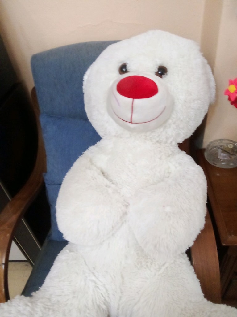 peluş ayi - 5