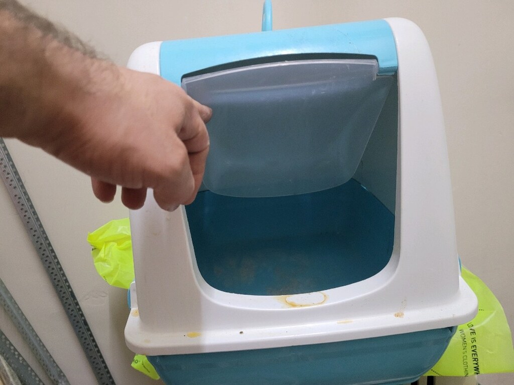 Kedi tuvaletliği - 2