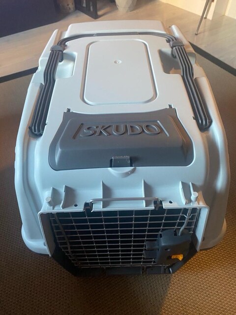Kedi.Köpek Box