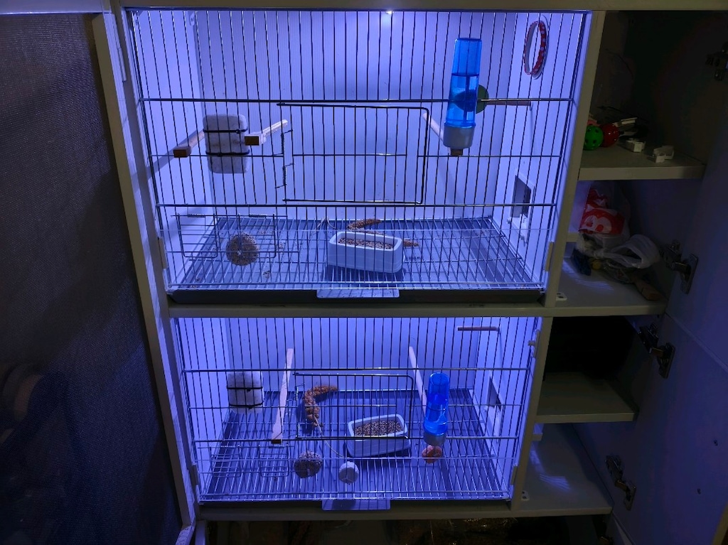 PVC kuş kafesi - 2