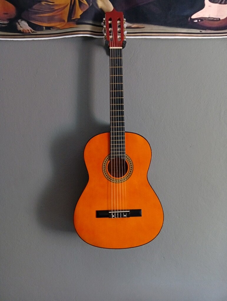 Laguna Gitar - 5