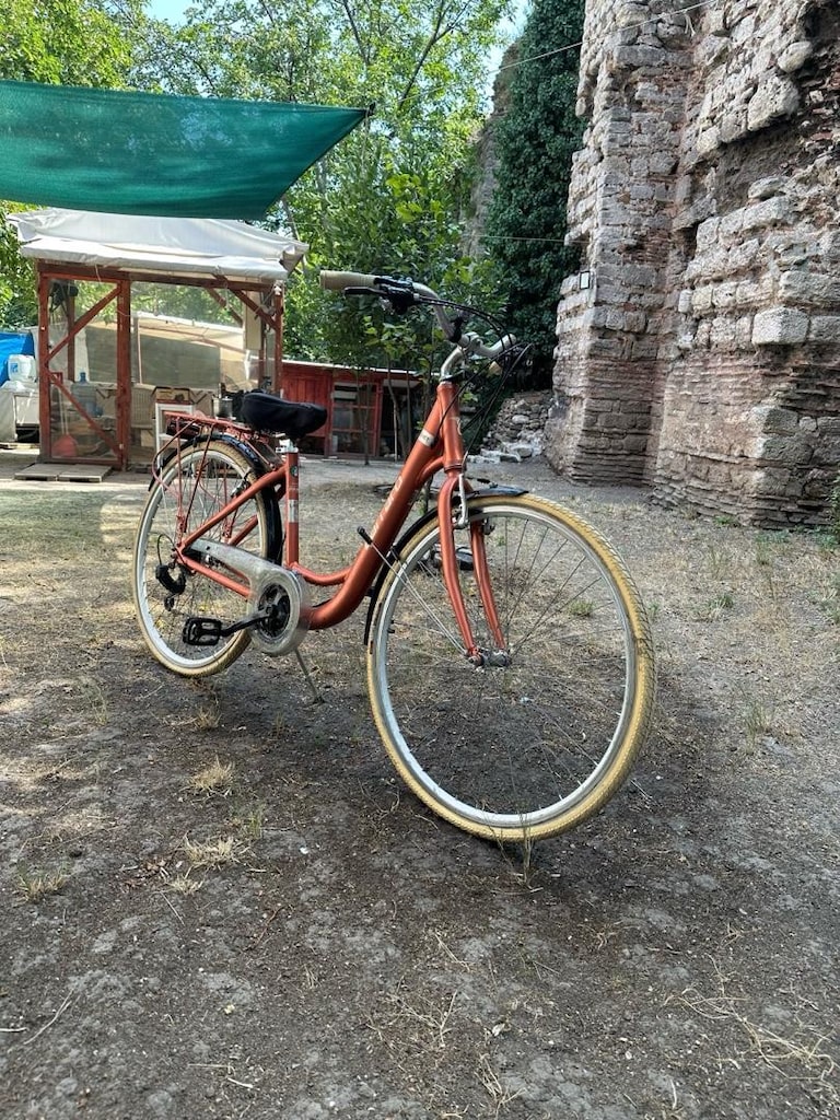 Carraro Juliet 28 Jant 21 Vites V-Fren – Temiz ve Bakımlı - 5