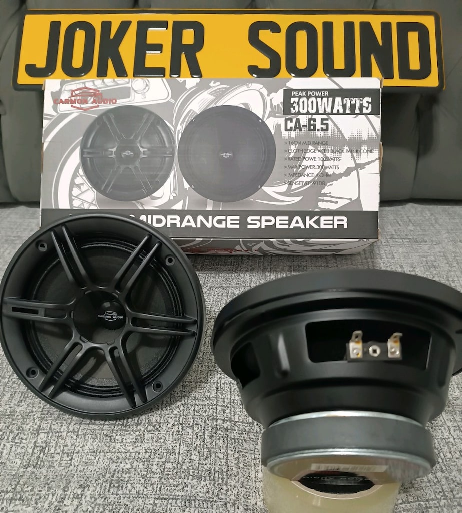 CARMON AUDİO 16 CM 300 W 100 RMS KAPAKLI SIFIR ÜRÜN KAPALI KUTU - 2
