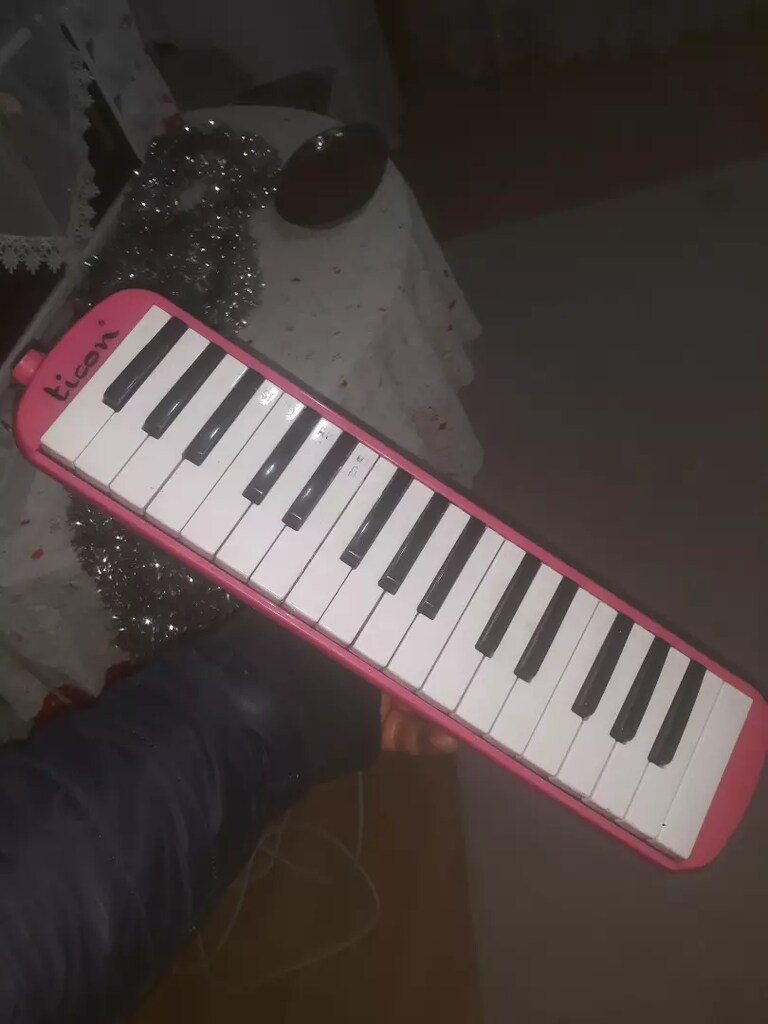 32 tuş melodika - 5
