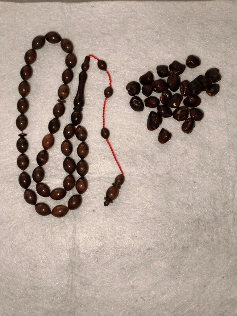Demirhindi ağacı tesbih - 10