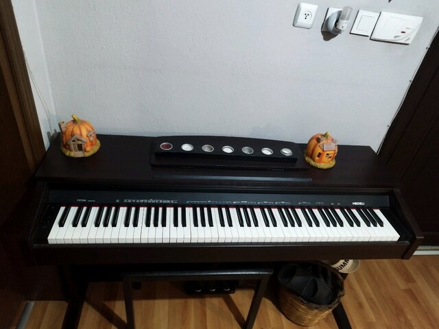 Medeli DP 250 Digital Piano