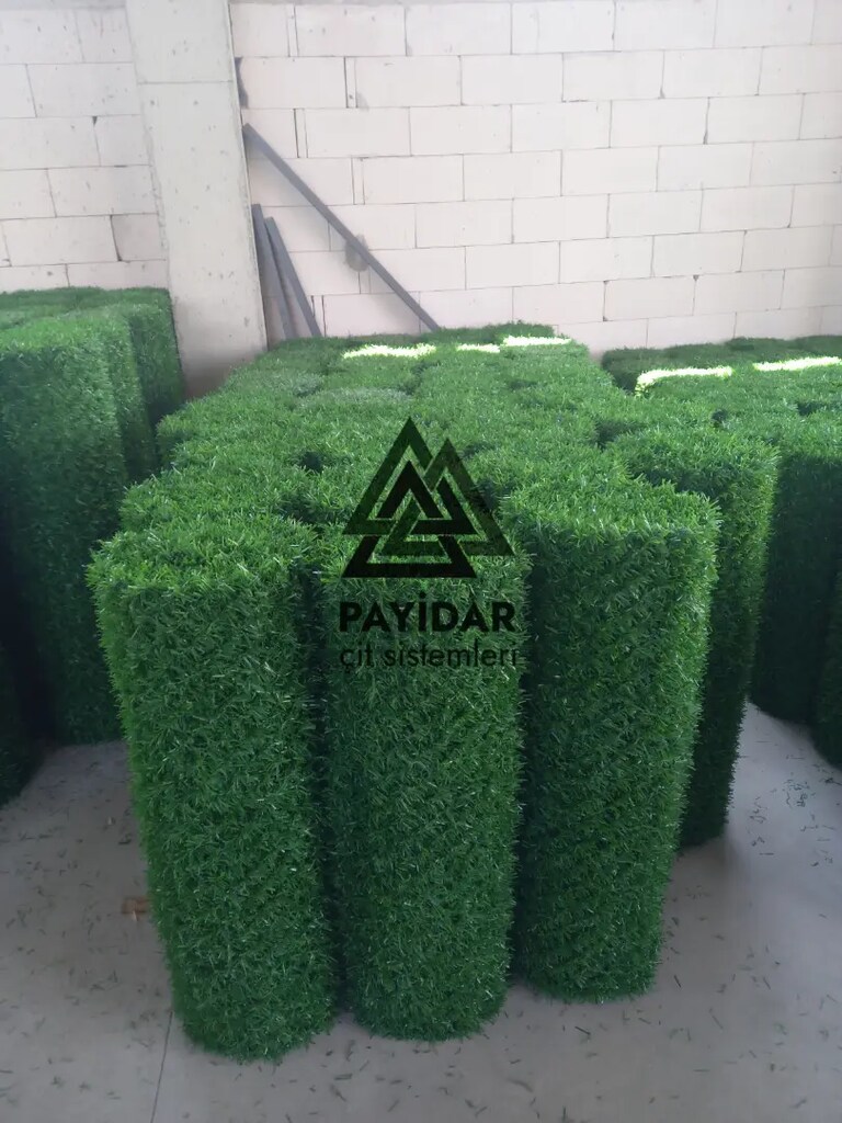 Çimçit - 4