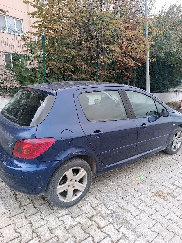temiz bir aile aracıdır - 18