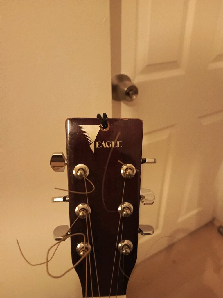 Eagle Akustik gitar - 2