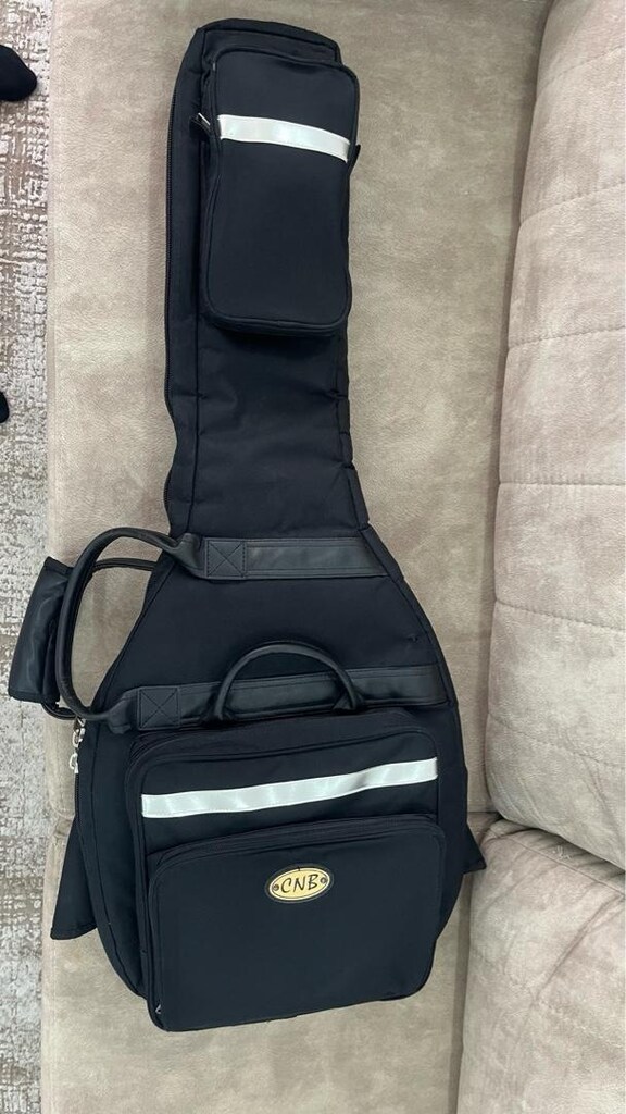 elektro gitar kılıfı - 2