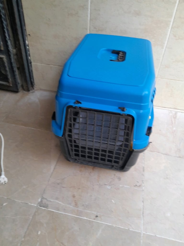 kedi ve köpek için koymak için sağlam kırık yok - 3