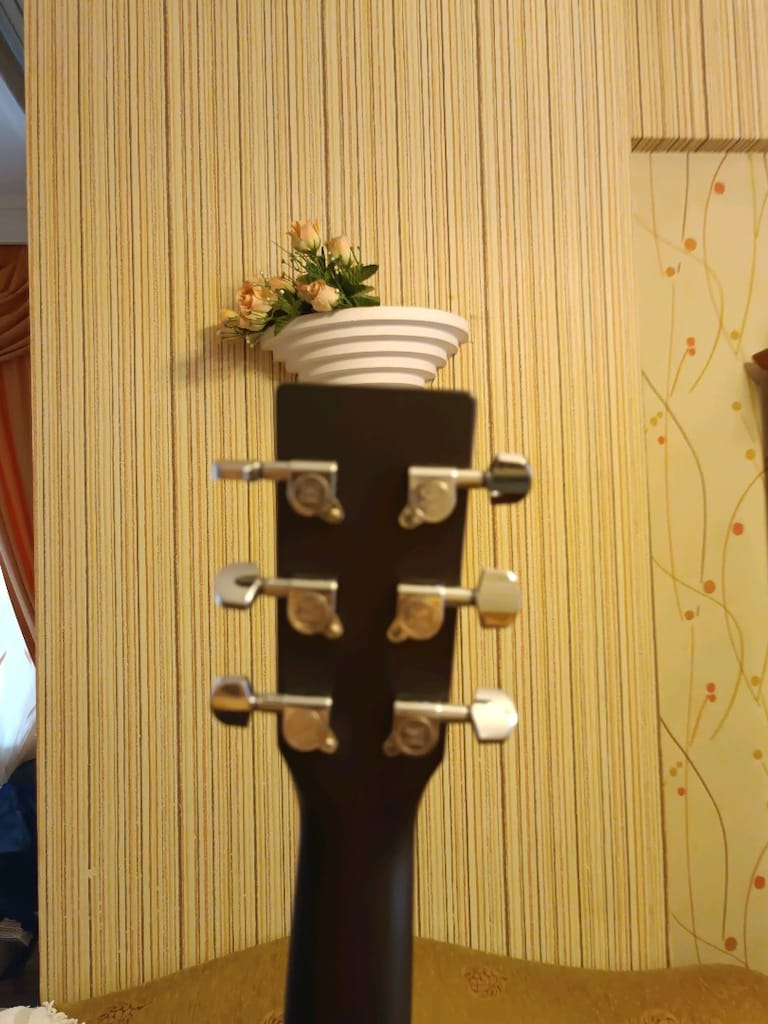 Sigma Elektro Akustik Gitar - 4