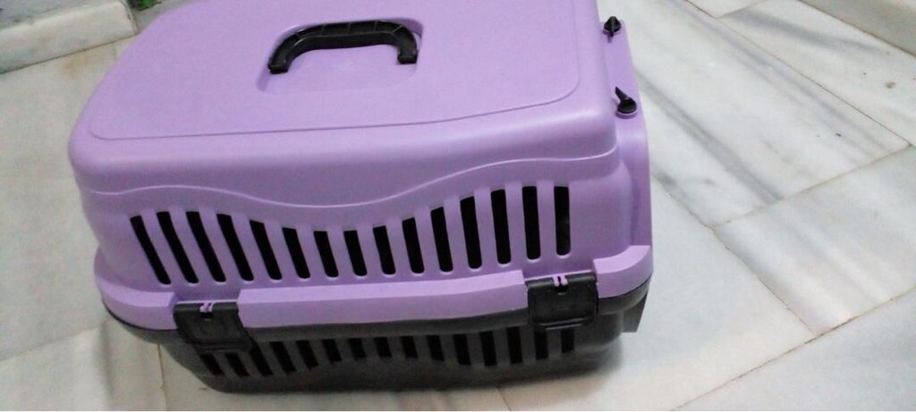 Kedi Köpek taşıma çantası - 3