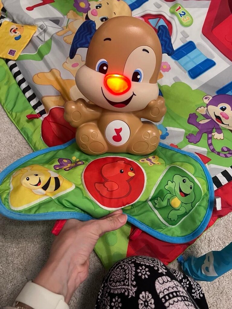 fisher price eğitici köpekcik oyun halısı - 5