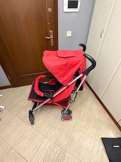 Baston bebek arabası - 2