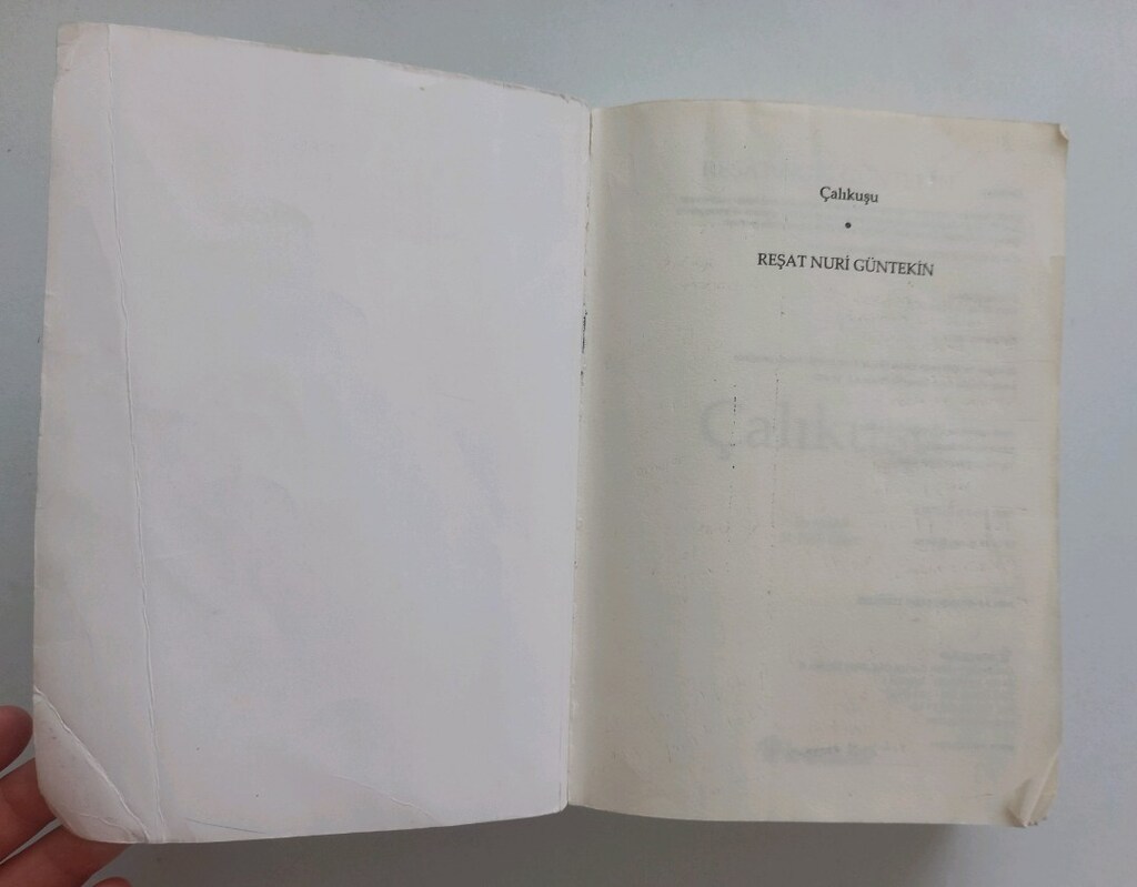 Reşat Nuri Güntekin - Çalıkuşu - 2