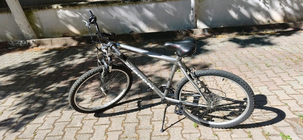 Yeni Bakımlı Bianchi - 2
