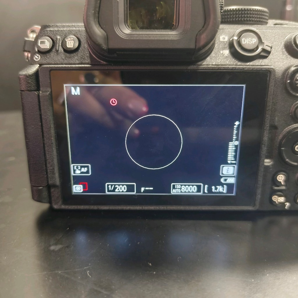 Nikon Z5II Body - Nikon 105mm - tripod - ışık - 4