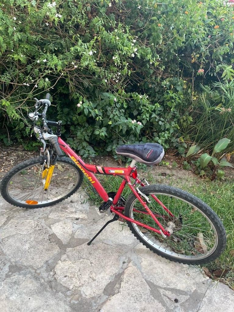 Bianchi 26 Jant Dağ Bisikleti - 2