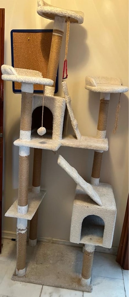 kedi evi - 3