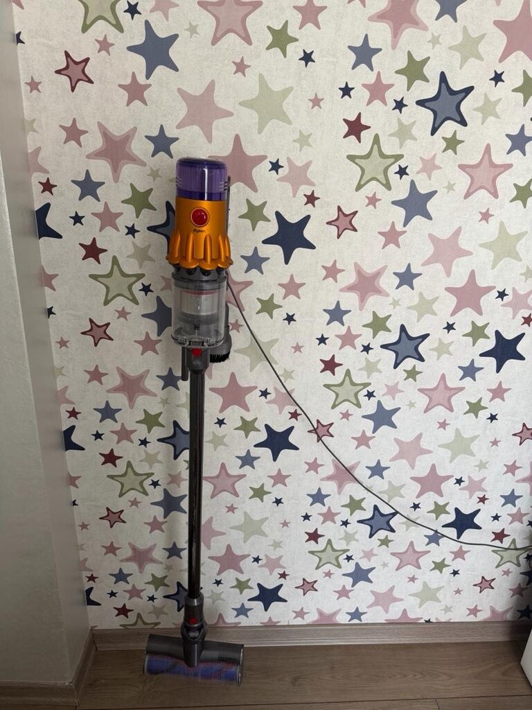 Dyson v12 - 2