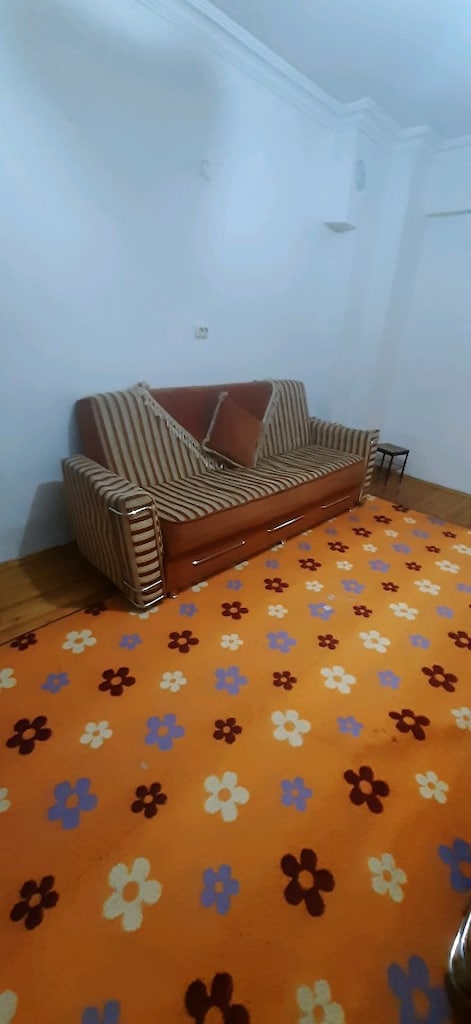2 kanepe halı dahil FIRSAT!!!!!!!!!!!!! - 4