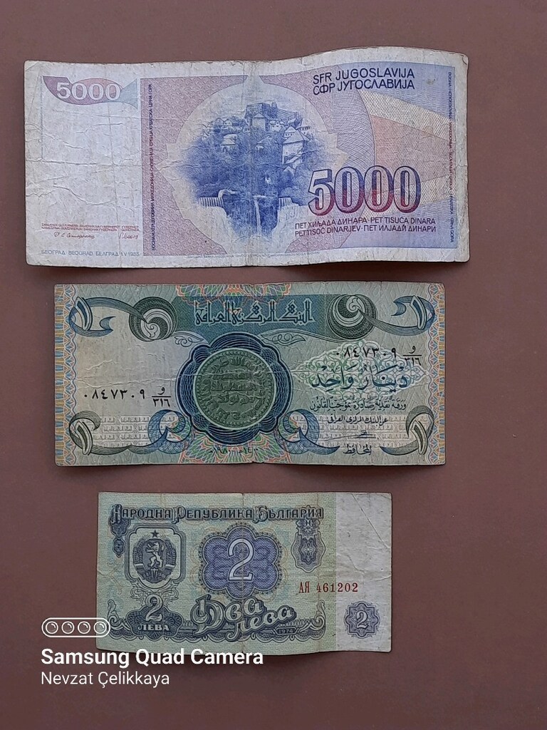 ESKİ TÜRK V YABANCI PARALAR (LÜTFEN AÇIKLAMAYI OKUYUNUZ) - 8