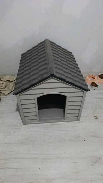 Köpek ekipmanları