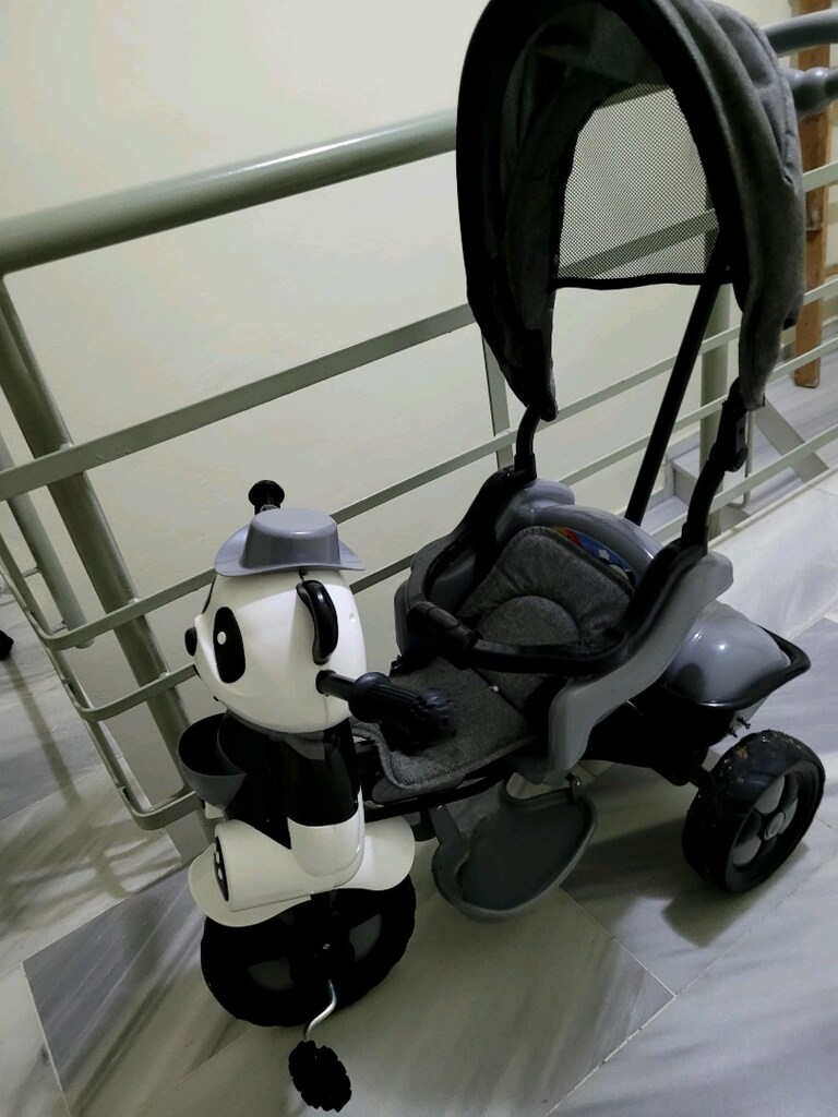 Panda Bisiklet - 2
