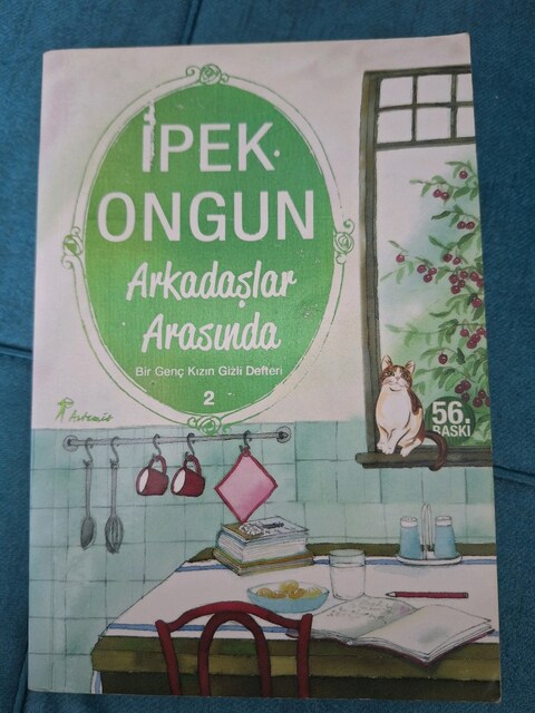 İpek Ongun Bir Genç Kızın Gizli Defteri Serisi