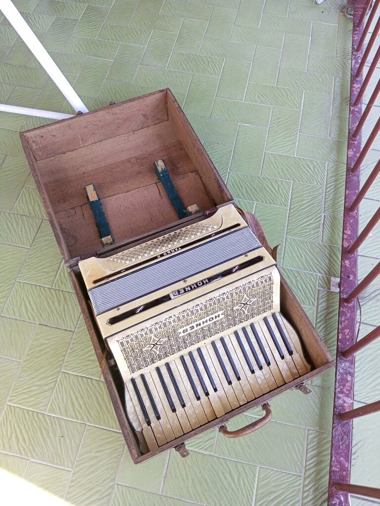 Antika Masif Ahşap Sandıklı Hohner Akardion (min. 110 senelik) - 7